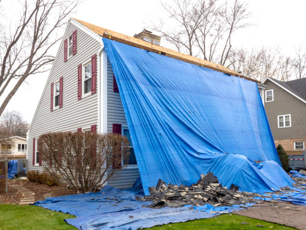 Best Stone Veneer Siding  in Clemson University, SC