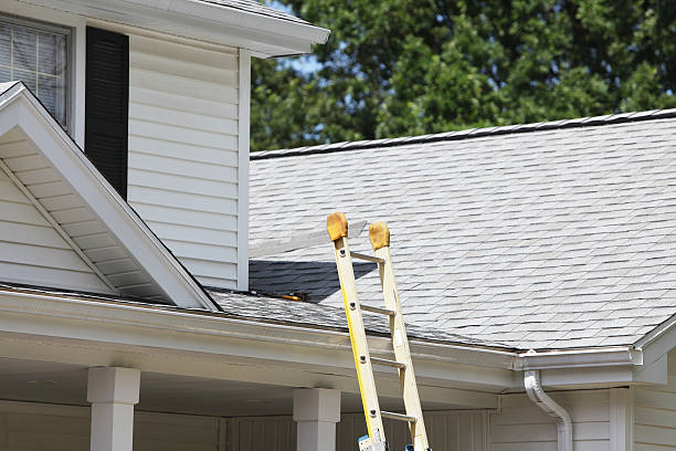 Best Custom Siding Design  in Clemson University, SC